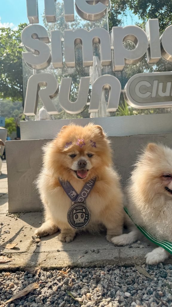 Luna na 4ª edição da Zee.Dog Run, na Lagoa Rodrigo de Freitas