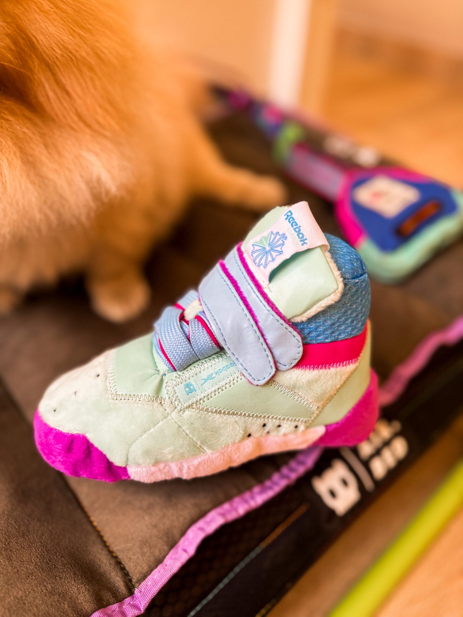 Zee.Dog lança collab com a Reebok