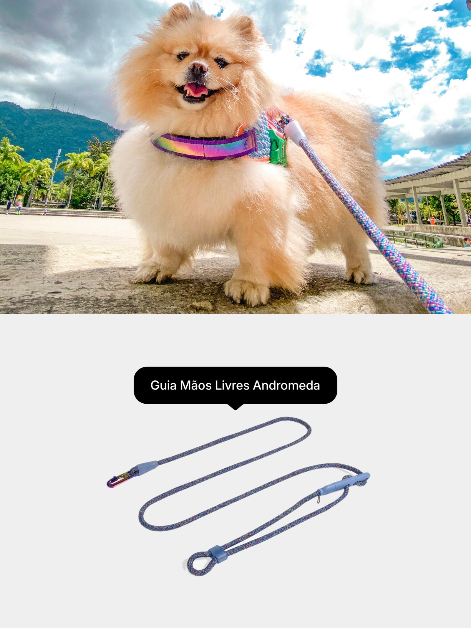 Guia Mãos Livres Andromeda da Zee.Dog