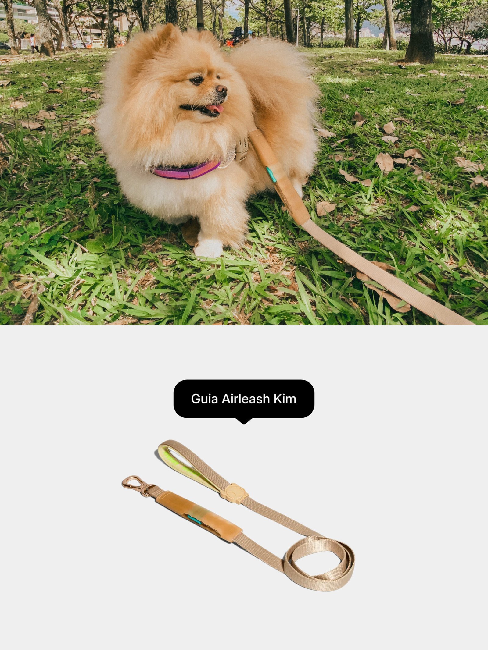 Guia Airleash Kim da Zee.Dog