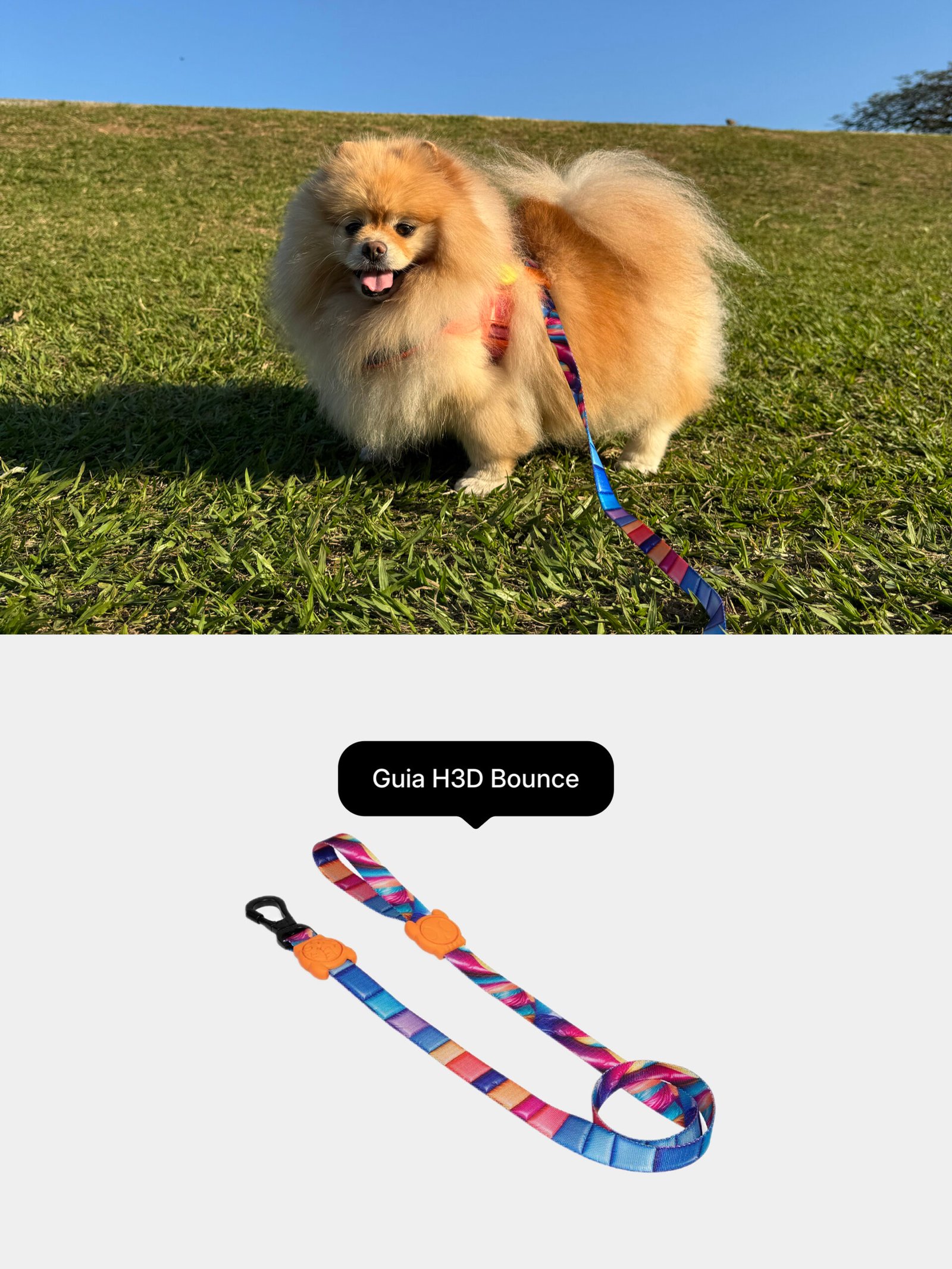 Guia H3D Bounce da Zee.Dog
