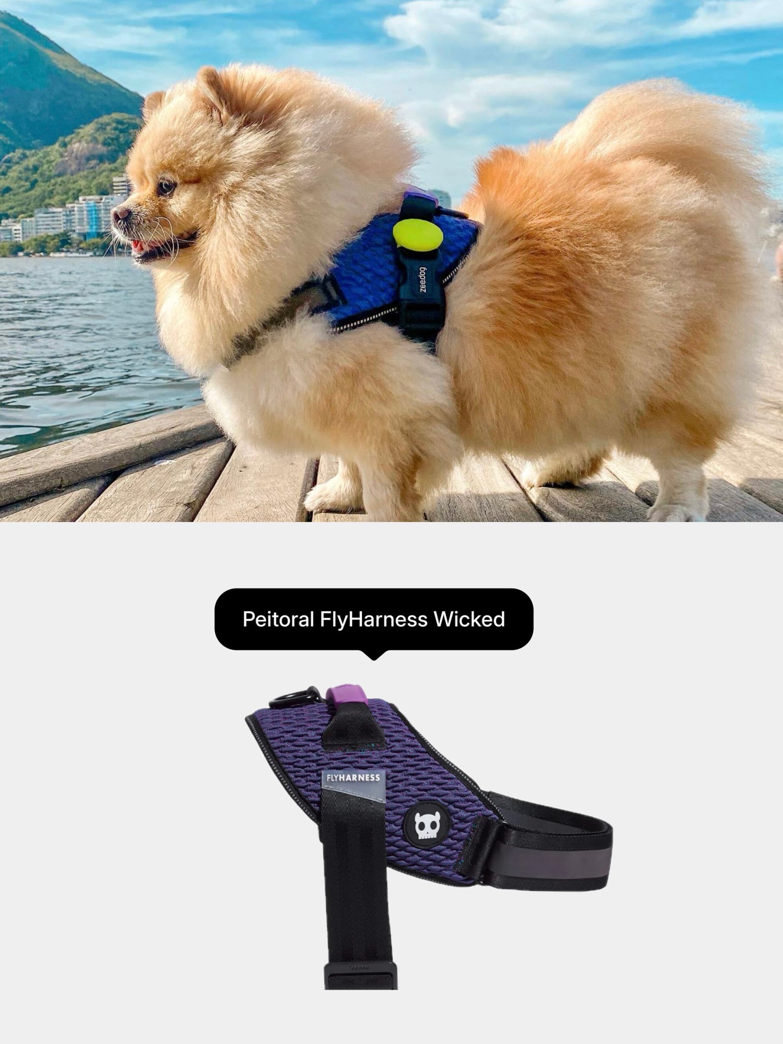 Peitoral FlyHarness Wicked da Zee.Dog