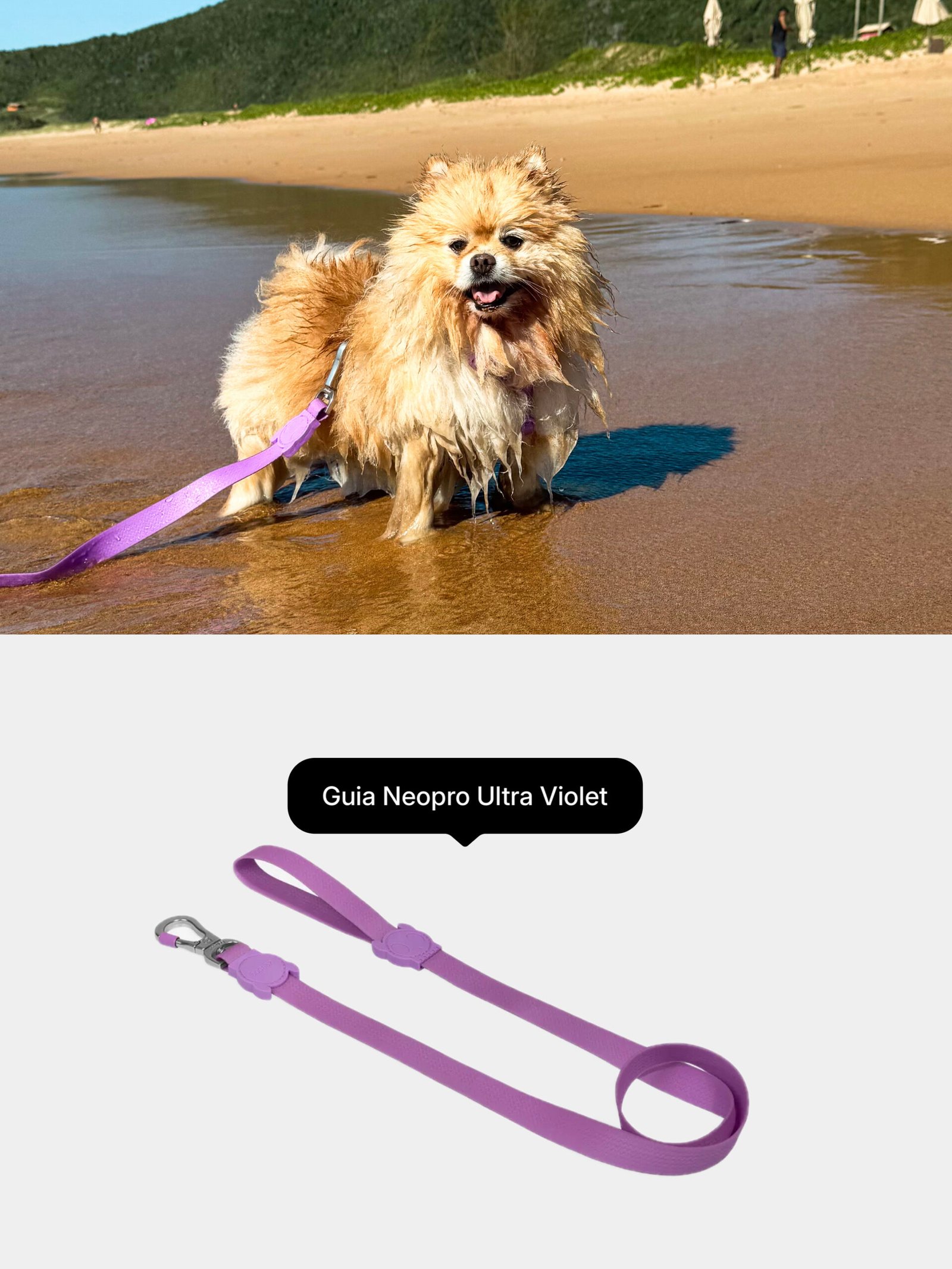 Guia Neopro Ultra Violet da Zee.Dog