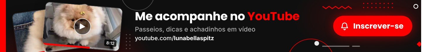 Inscreva-se no canal da Luna no YouTube